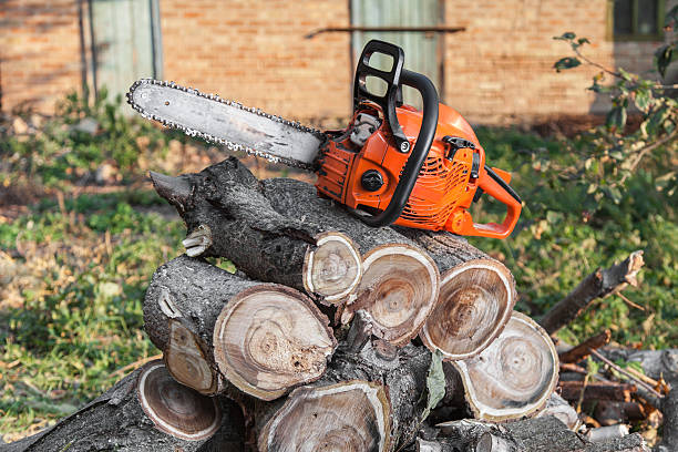 Best Commercial Tree Services  in Kuna, ID